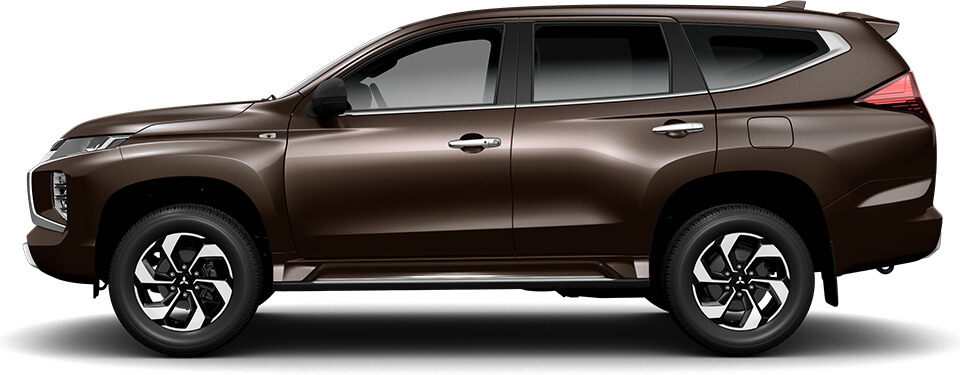 Deep Bronze Metallic (C17)